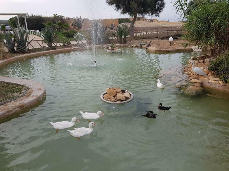 Kamarina Resort Scoglitti Dış mekan fotoğraf
